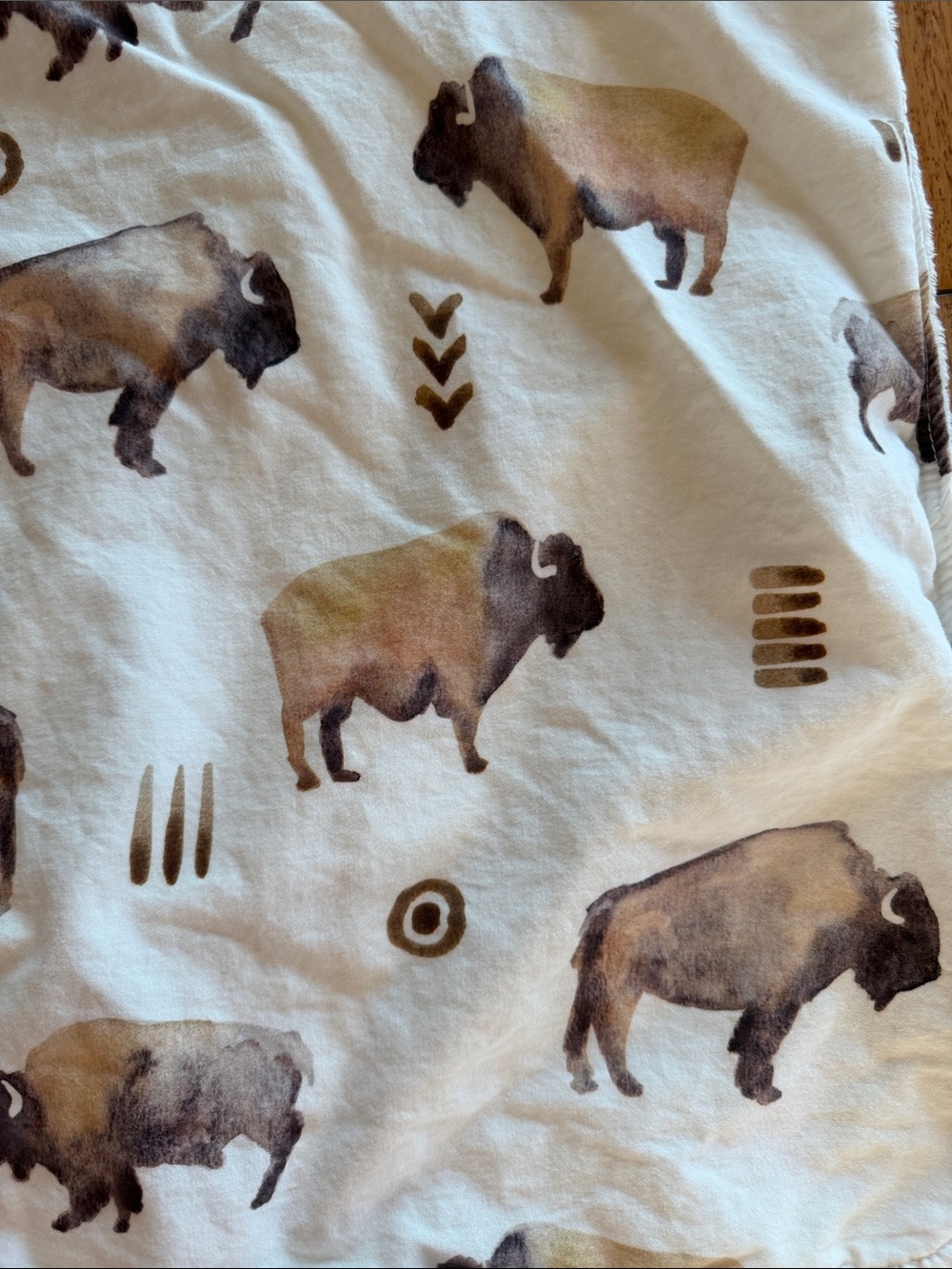 Carousel Designs Southwestern Watercolor Bison Cotton Minky Baby Blanket 34x43 - Picture 6 of 9